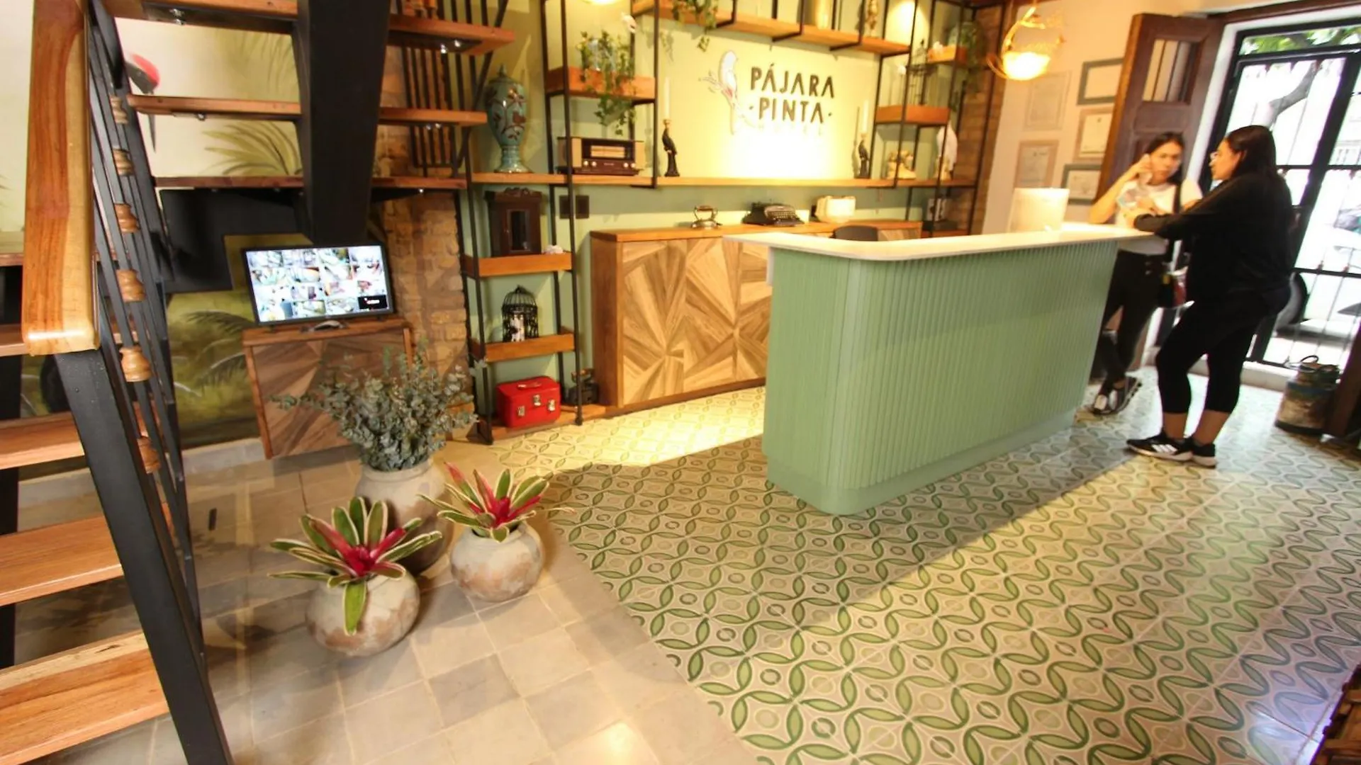 Hotel Pajara Pinta Cali Colombia